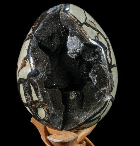 Septarian Dragon Egg Geode - Black Crystals #89670